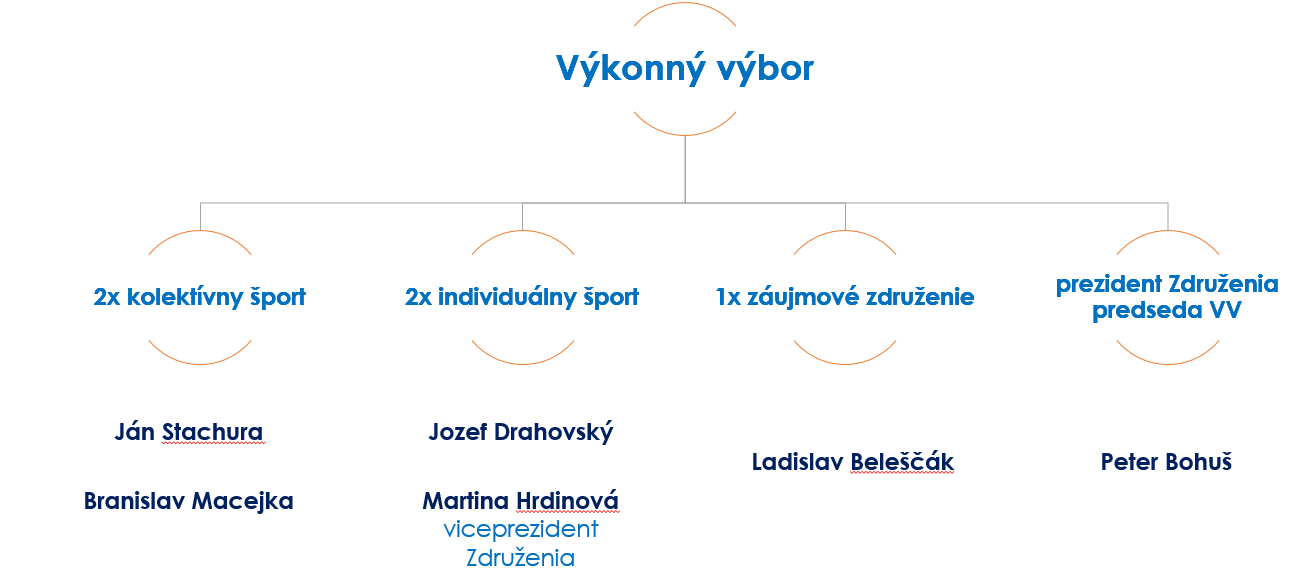 Výkonný výbor - schéma