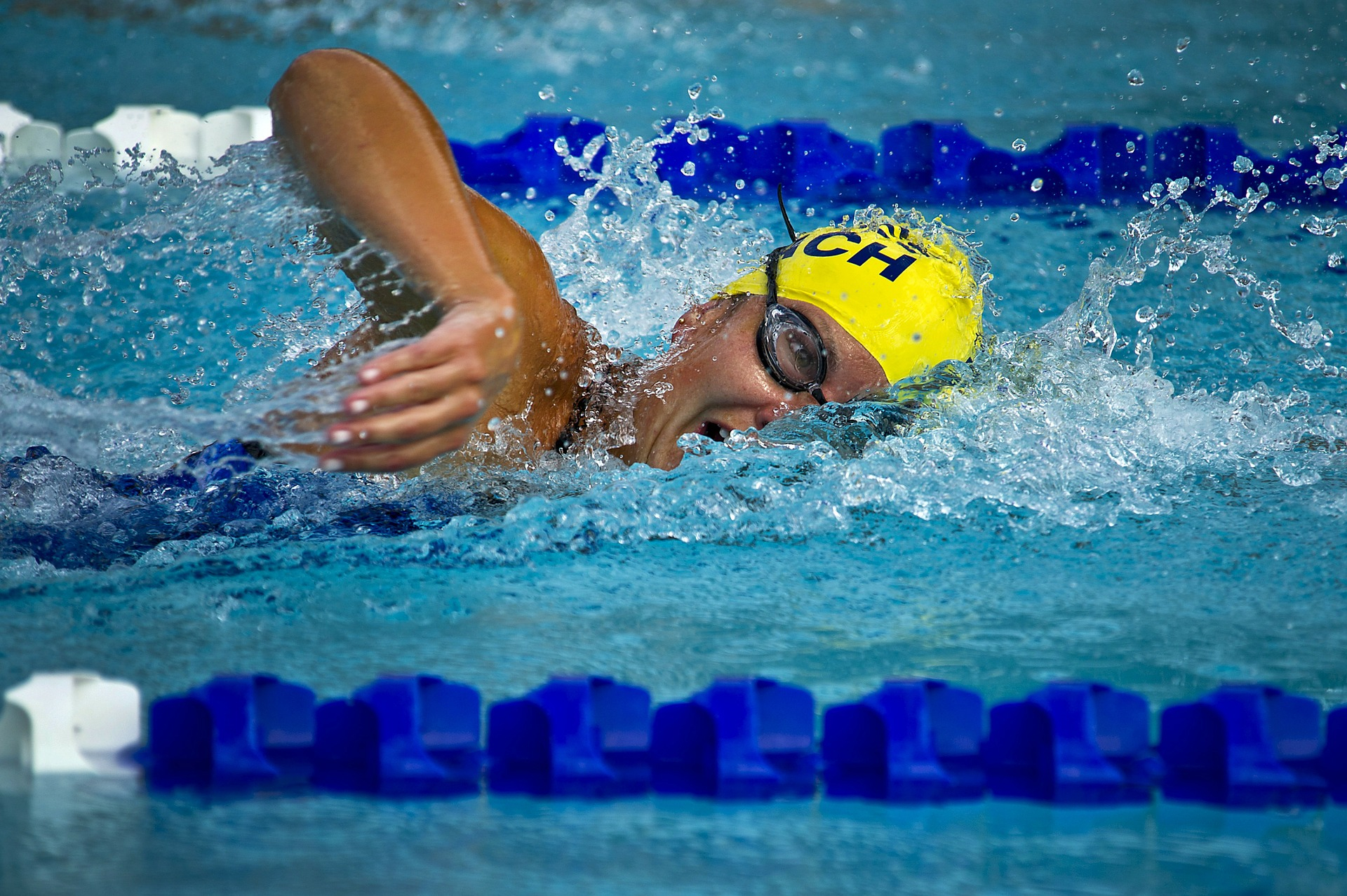 Slovakia swimming cup